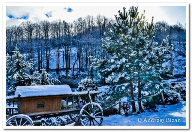 Cicha Woda Pieszyce Exterior foto
