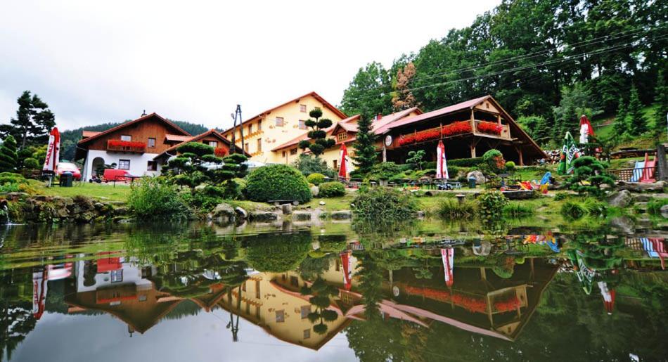 Cicha Woda Pieszyce Exterior foto
